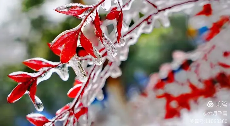 《红颜如霜》:凄美了离别,苍老了谁